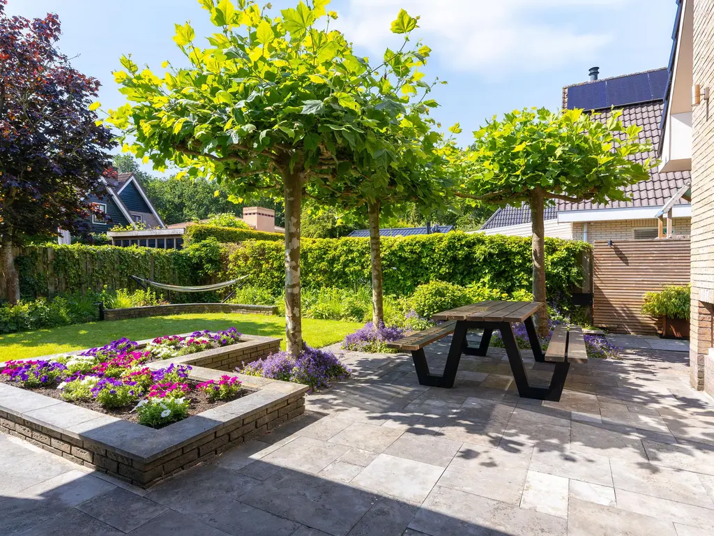 Bertus Aafjeshof 142, HOORN