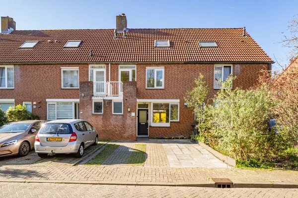 Goudvink 40