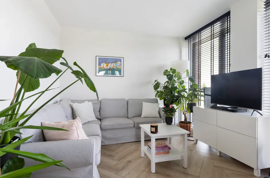 Zilveren Florijnlaan 261