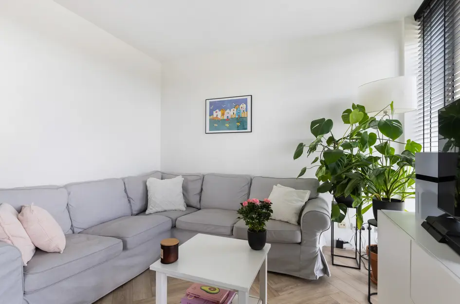 Zilveren Florijnlaan 261
