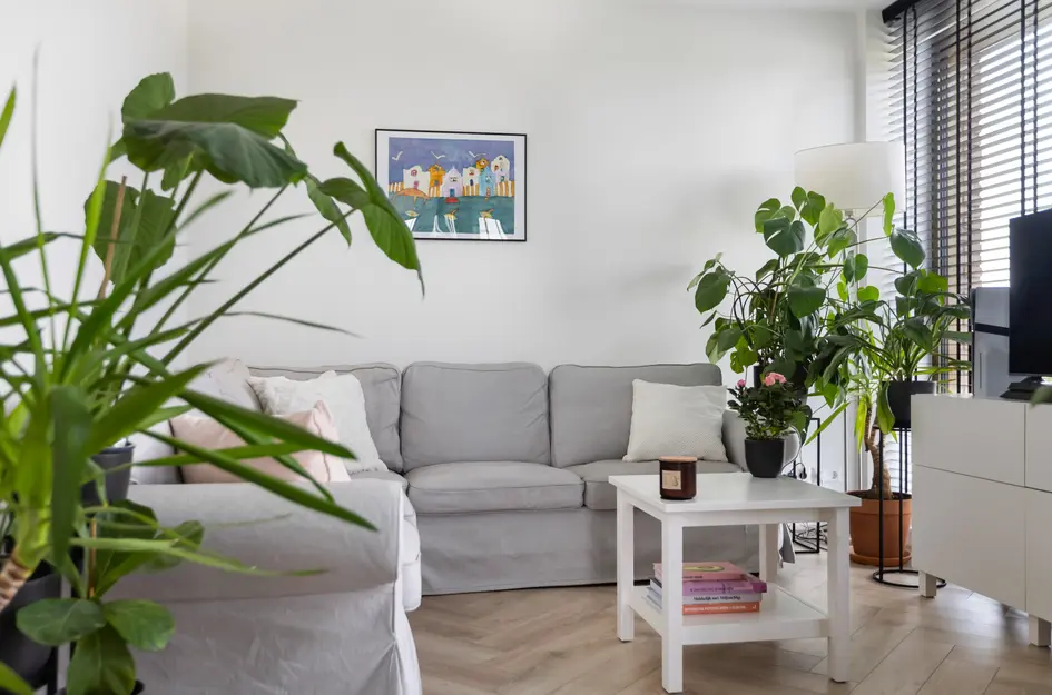 Zilveren Florijnlaan 261