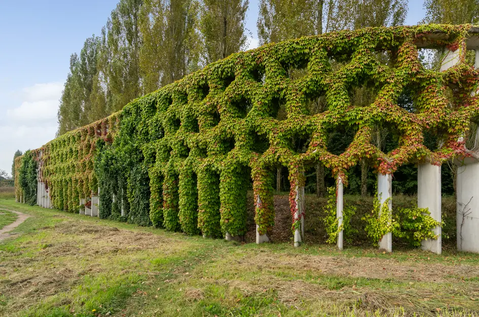 Parkzichtlaan 158