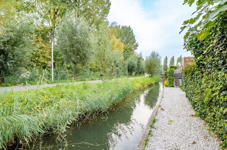 Saffraanweg 23