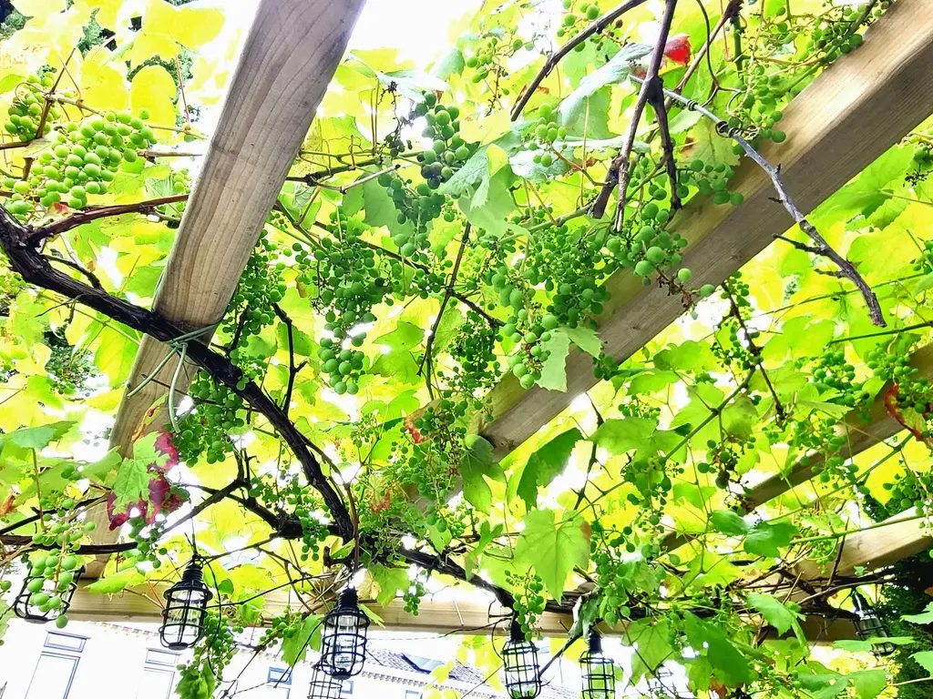 Theo van Doesburgstraat 87, UTRECHT