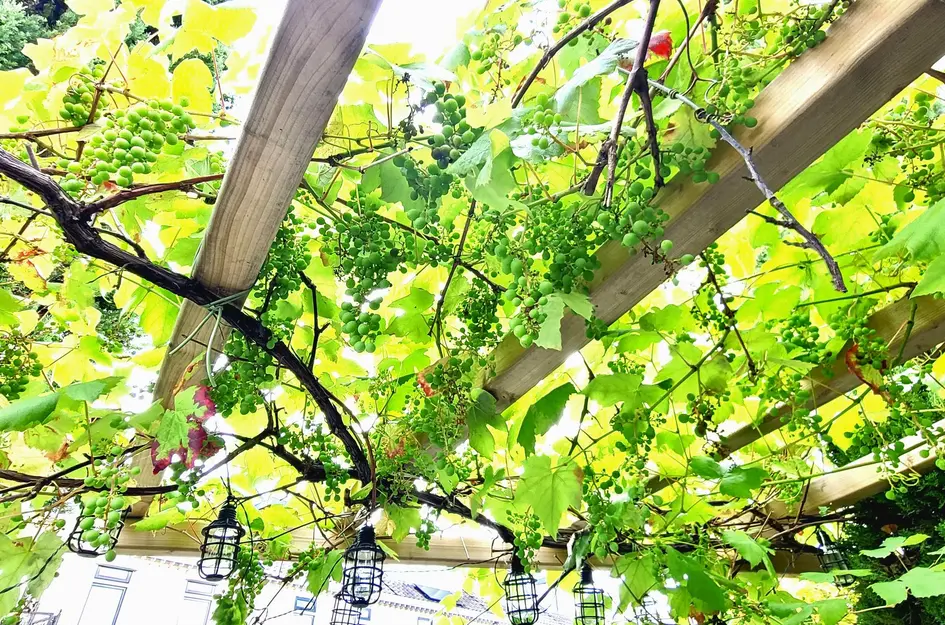 Theo van Doesburgstraat 87