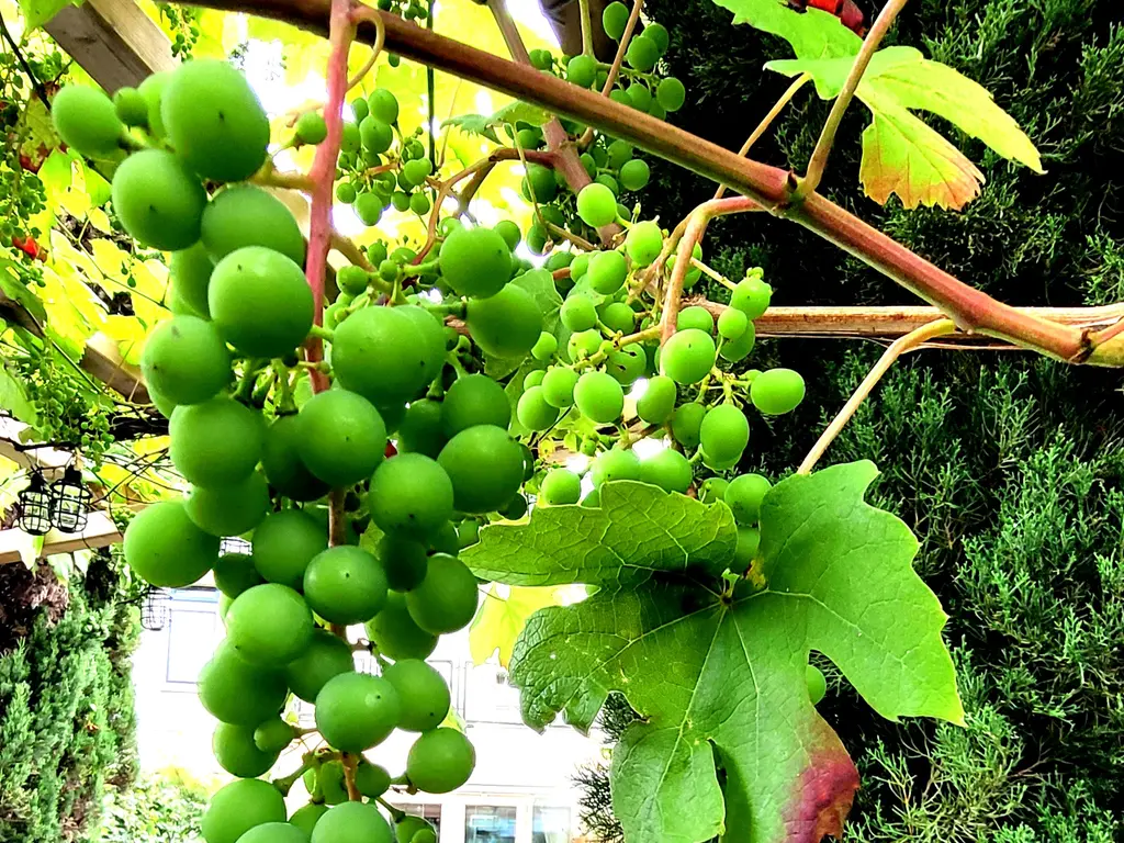 Theo van Doesburgstraat 87, UTRECHT