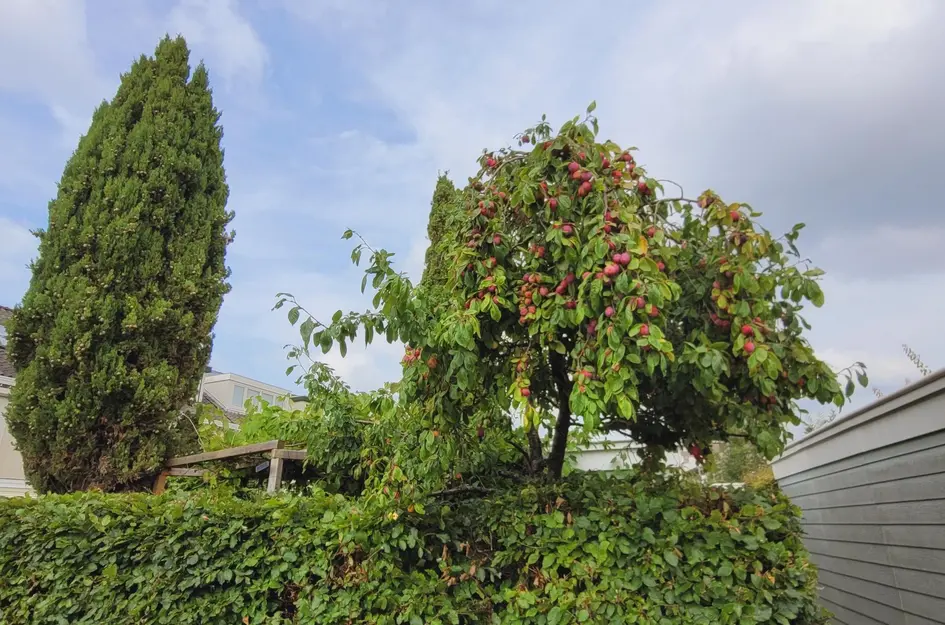 Theo van Doesburgstraat 87