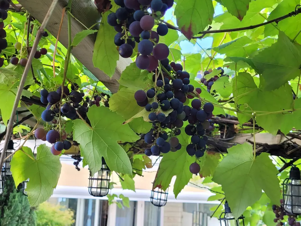 Theo van Doesburgstraat 87, UTRECHT