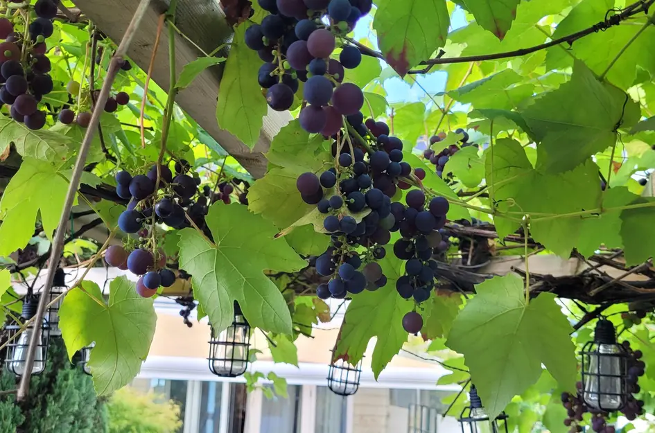 Theo van Doesburgstraat 87