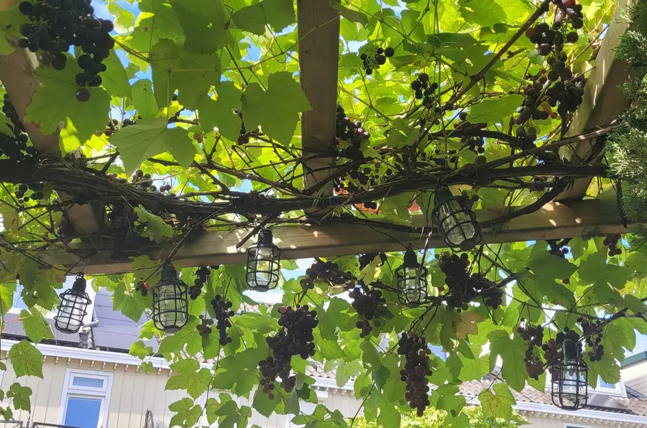 Theo van Doesburgstraat 87