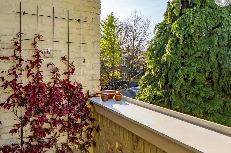 Johannes Uitenbogaertstraat 46BS