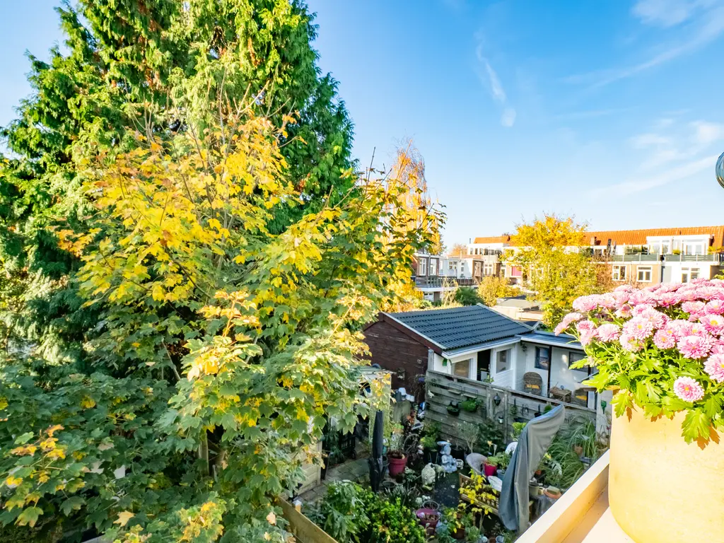 Johannes Uitenbogaertstraat 46BS, UTRECHT