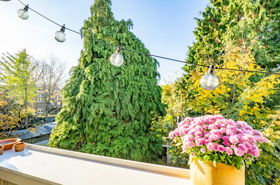 Johannes Uitenbogaertstraat 46BS