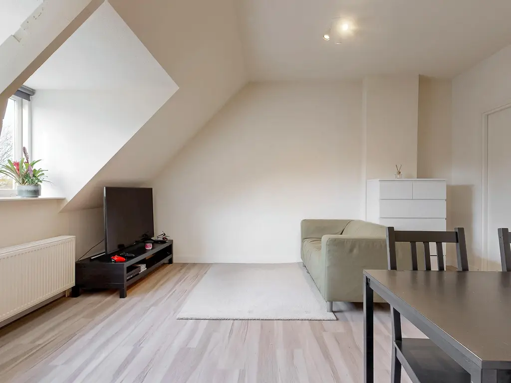 Leeuwerikstraat 17B, LEIDEN