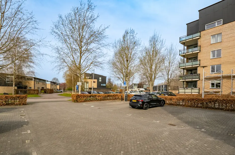 Walter Kollolaan 177