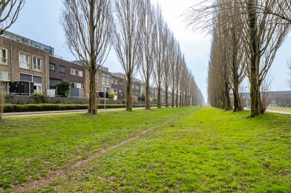 Walter Kollolaan 177