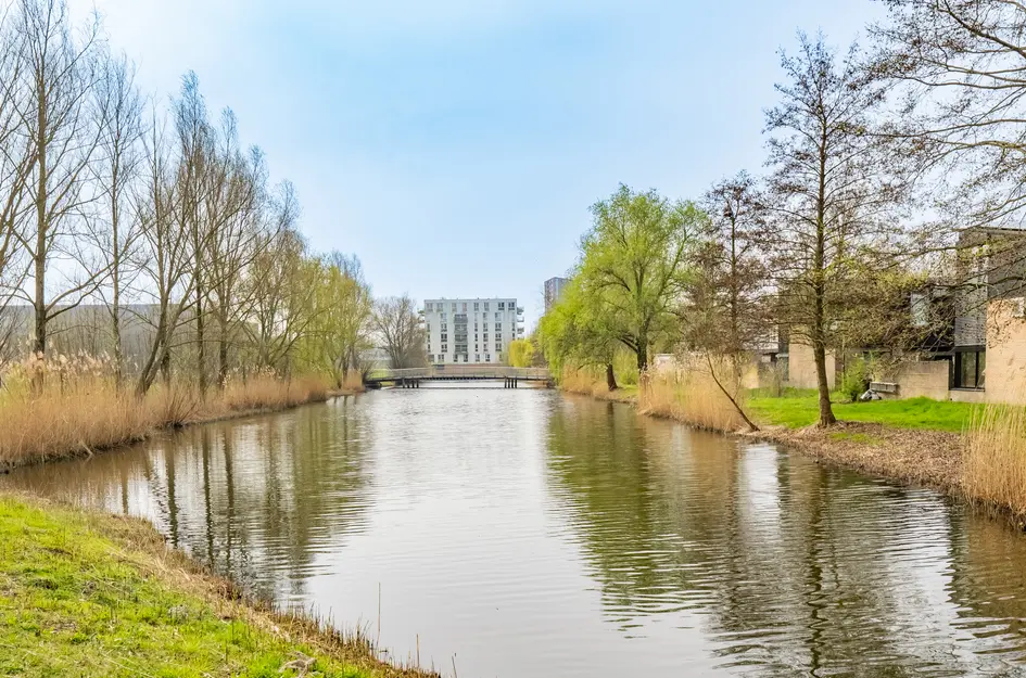 Walter Kollolaan 177