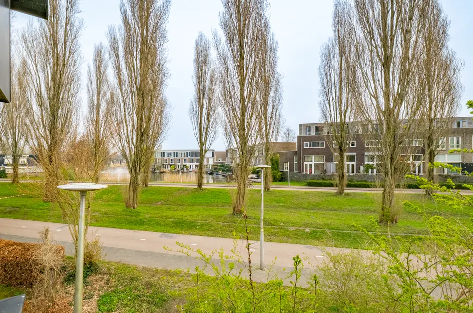 Walter Kollolaan 177