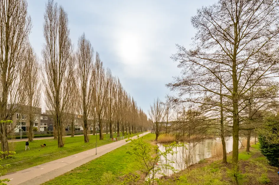 Walter Kollolaan 177