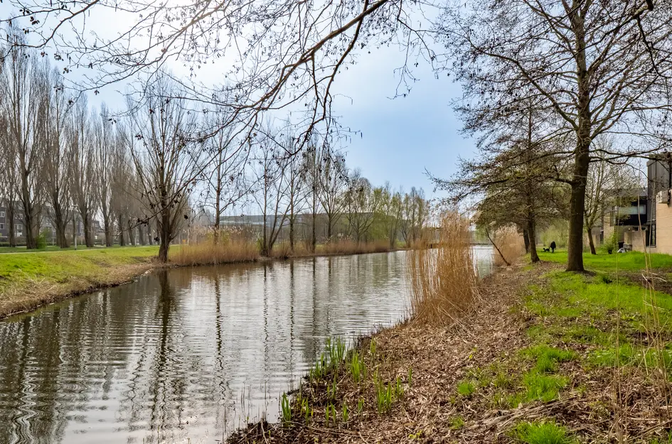 Walter Kollolaan 177