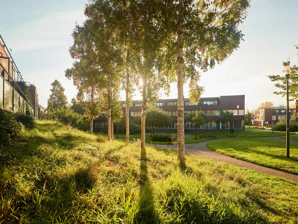 Baars 63, AMERSFOORT