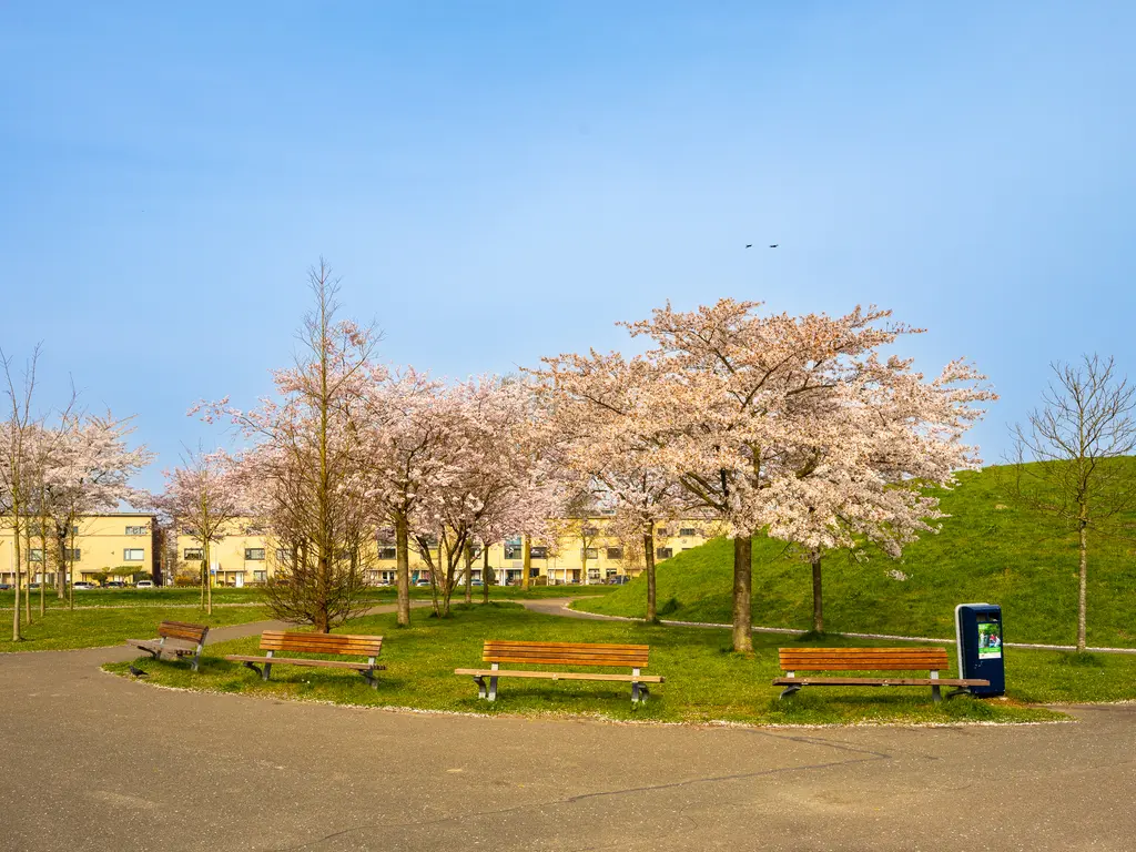 Lavendelstraat 12, UTRECHT