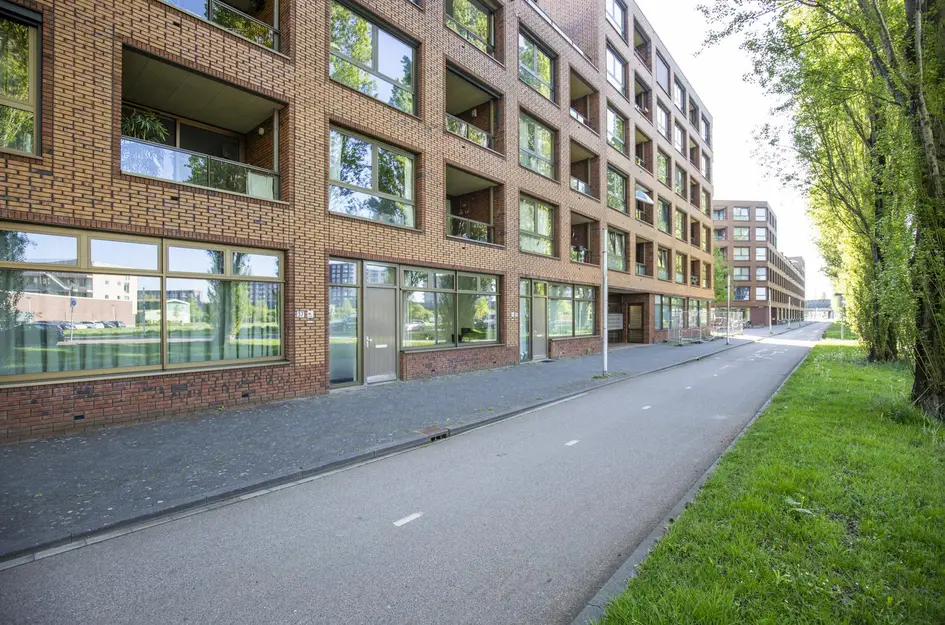 Glenn Millerpad 37