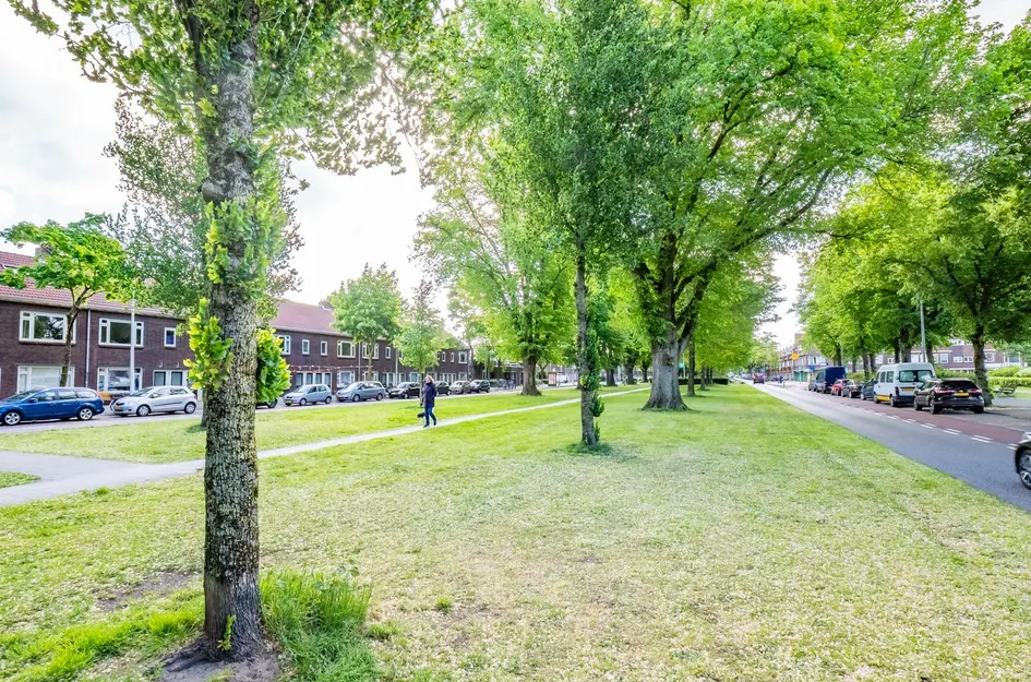 F. Koolhovenstraat 101