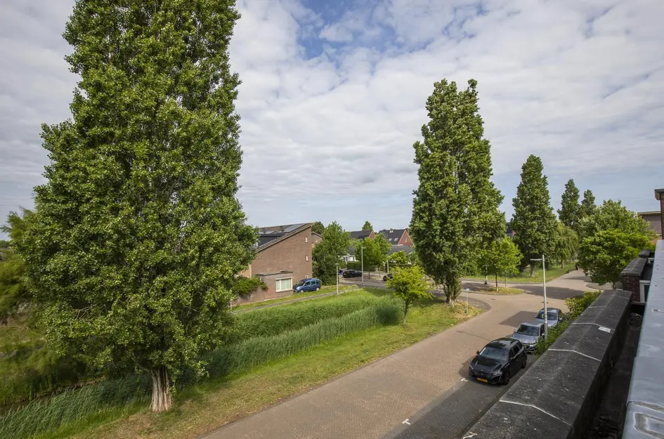 Vlindersingel 161