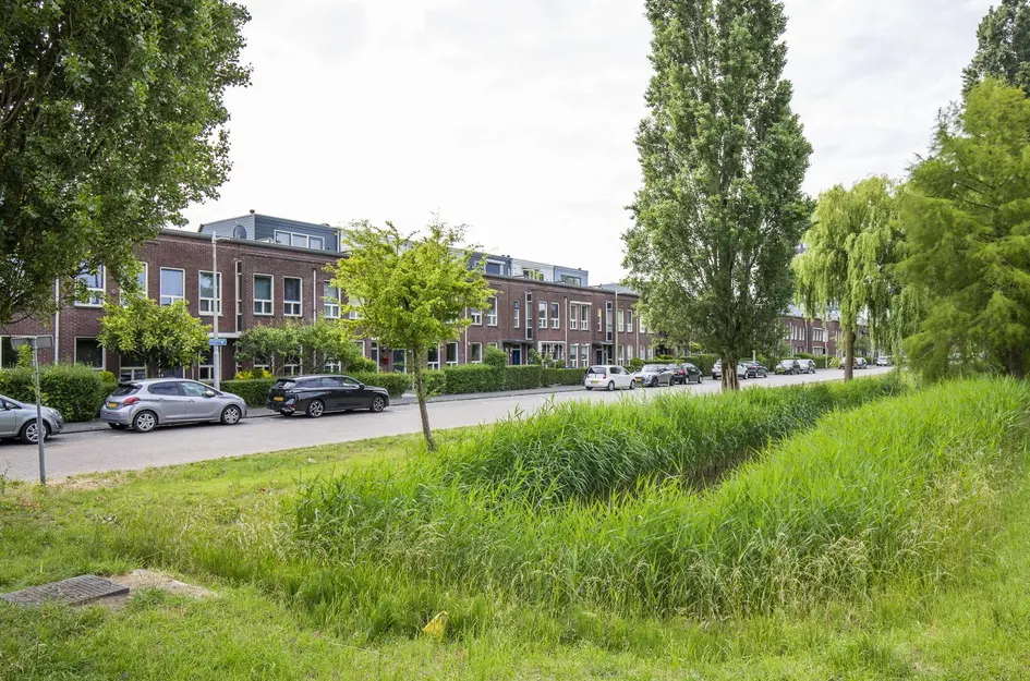 Vlindersingel 161