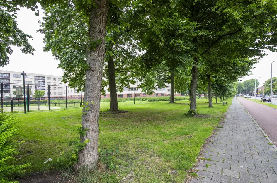 Royaards van den Hamkade 11 2