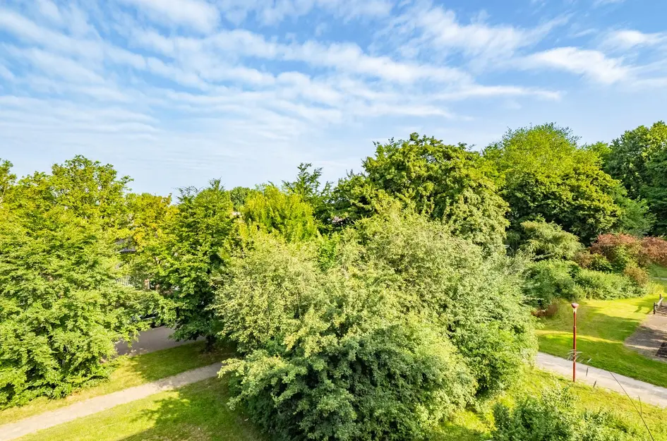 van Herwijnenplantsoen 238