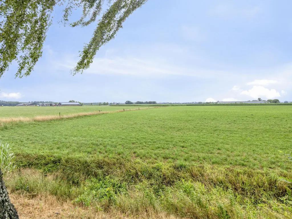 De Stille Wille 316, OOST WEST EN MIDDELBEERS