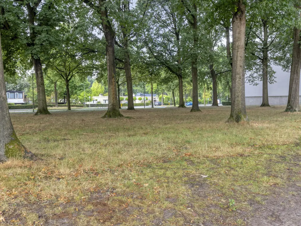 Wijnruitweg 98, TILBURG