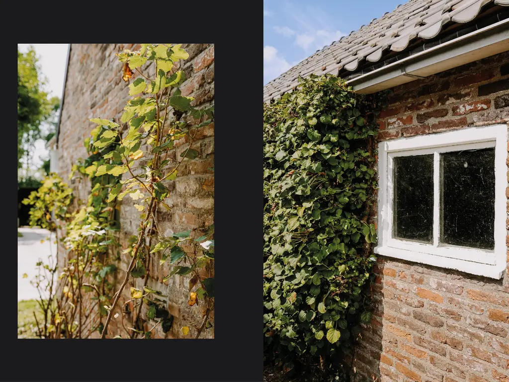 Burgemeester van Suchtelenstraat 17, BEUNINGEN GLD