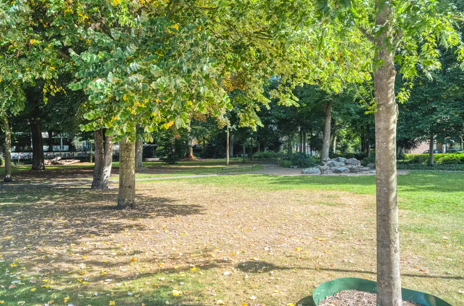 Bisschop de Vetplein 12