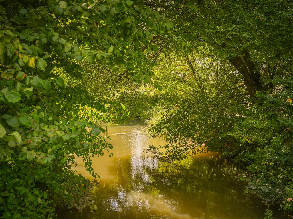 Erichemsekade 8 37, BUREN