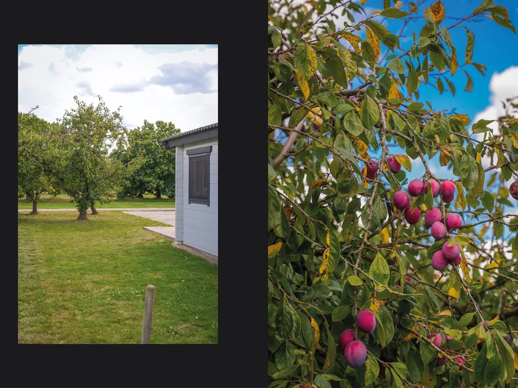 Erichemsekade 8 37, BUREN