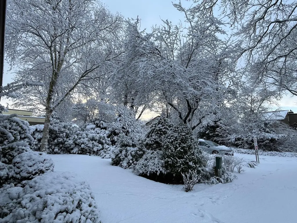 Sporkehout 38, GELDROP