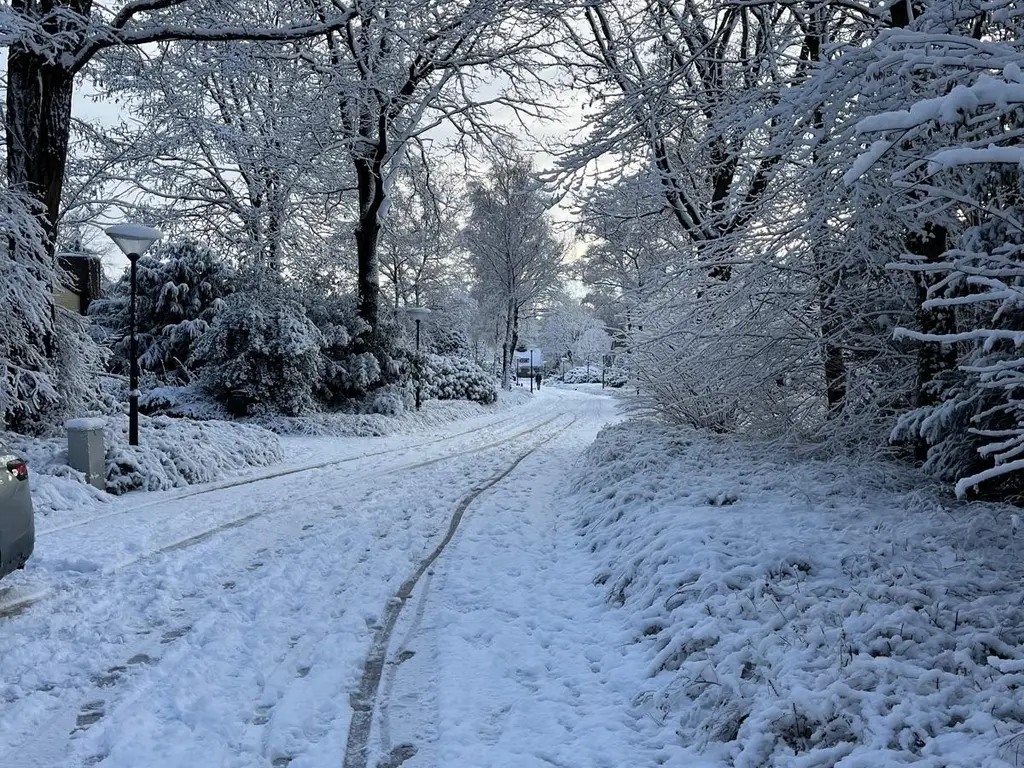 Sporkehout 38, GELDROP