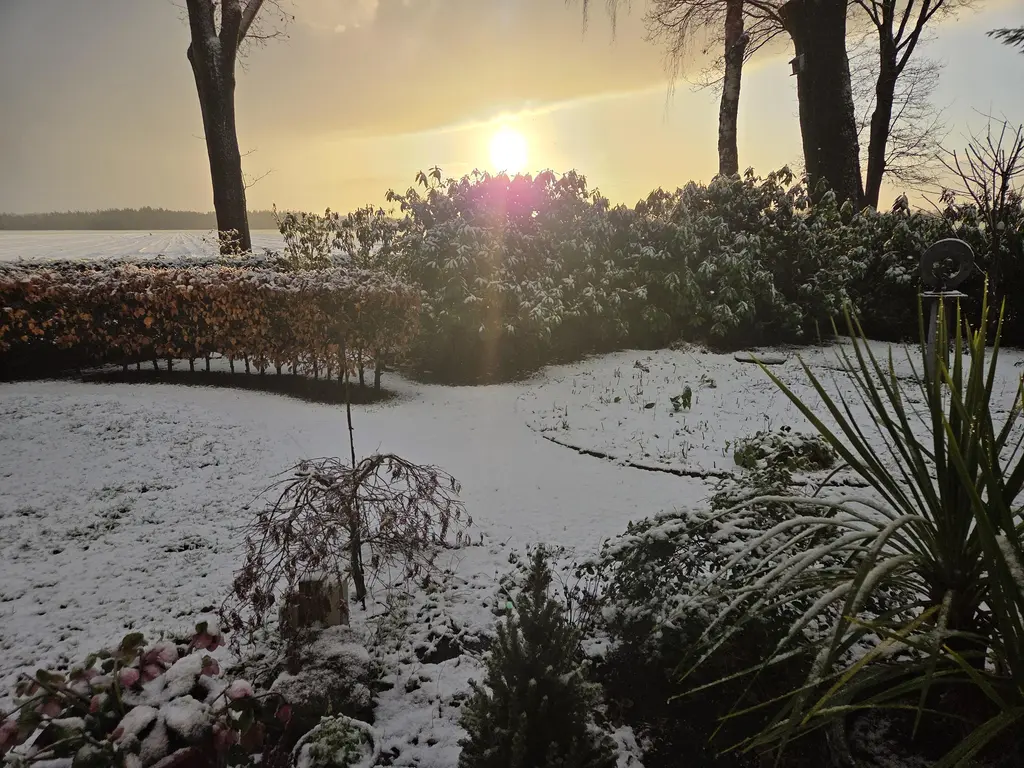 De Stille Wille 323, OOST WEST EN MIDDELBEERS