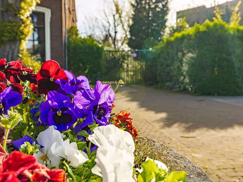 De Schans 49b, TILBURG