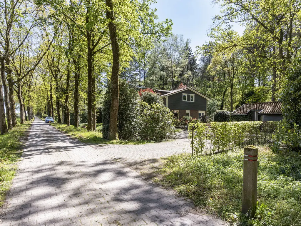 De Stille Wille 4, OOST WEST EN MIDDELBEERS