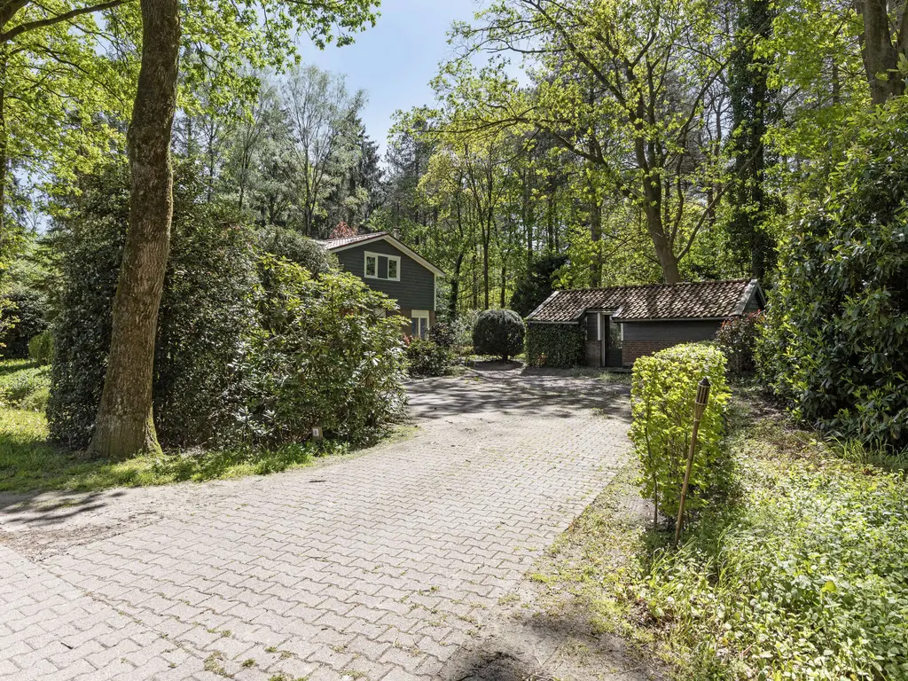 De Stille Wille 4, OOST WEST EN MIDDELBEERS