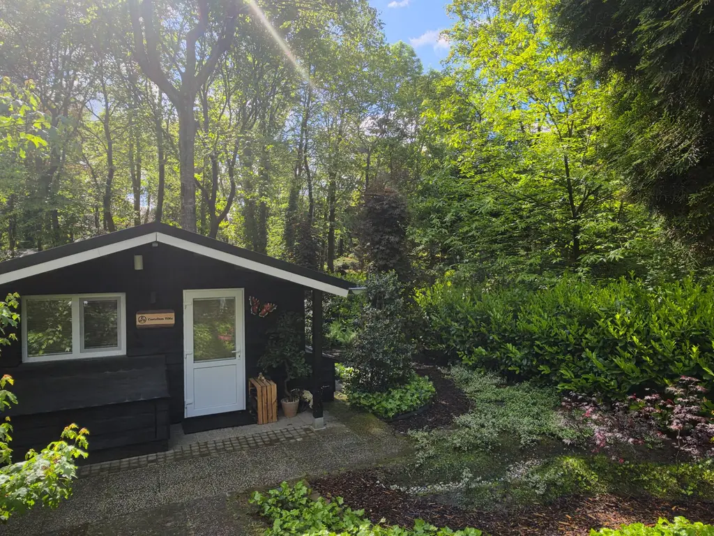 De Stille Wille 224, OOST WEST EN MIDDELBEERS