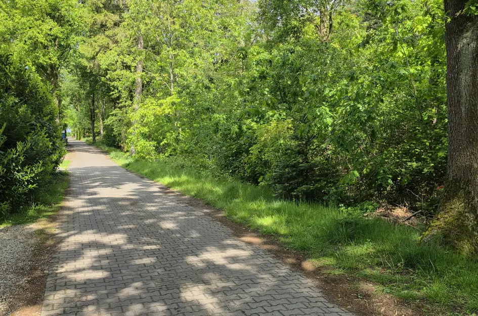De Stille Wille 224