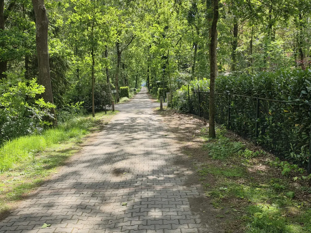 De Stille Wille 224, OOST WEST EN MIDDELBEERS