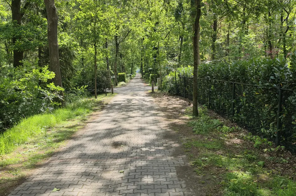 De Stille Wille 224