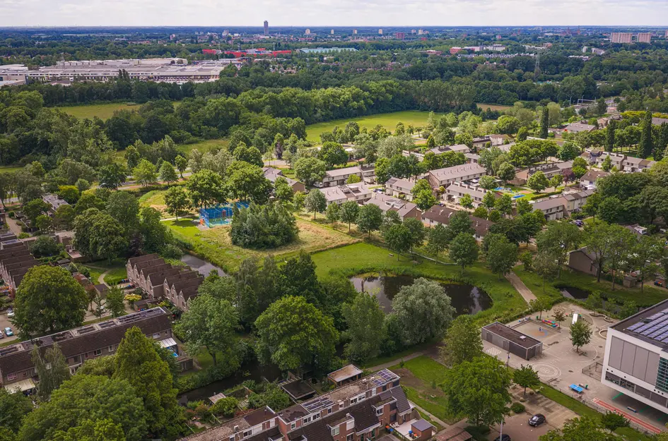 Zesde Haren 46