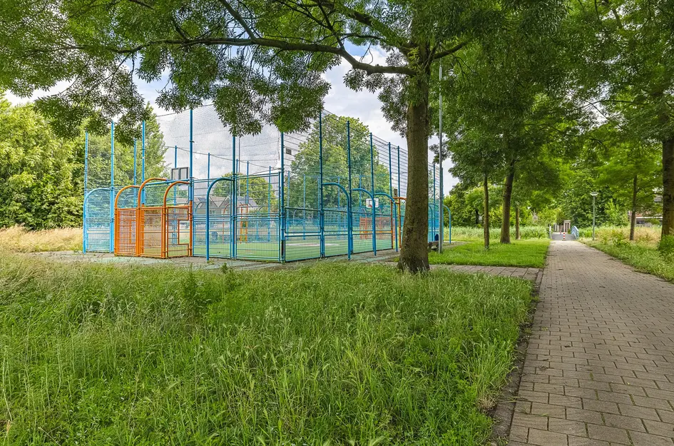Zesde Haren 46
